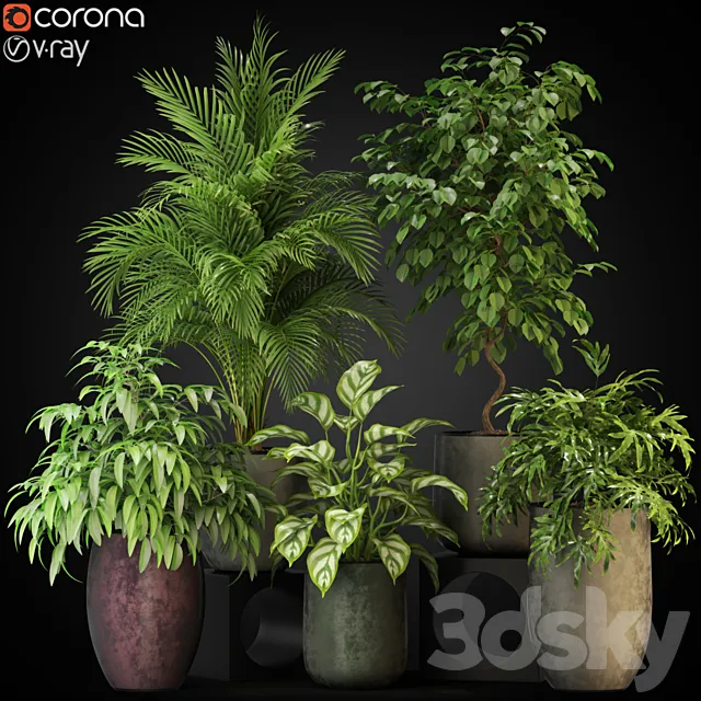 Plants collection 269 3DModel