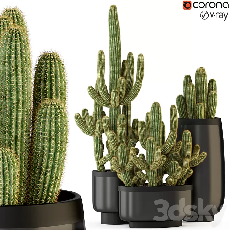 Plants collection 317 3D Model