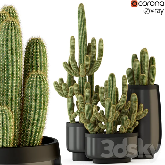 Plants collection 317 3DModel