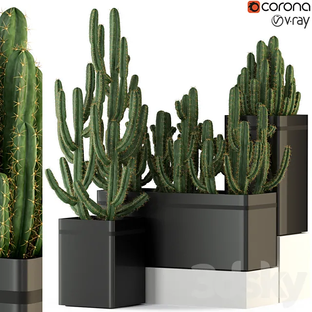 Plants collection 318 3D Model
