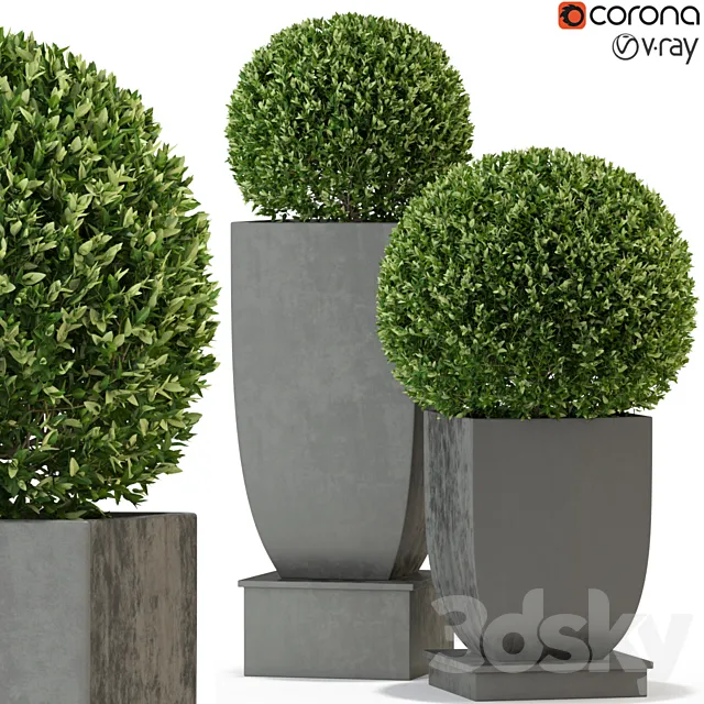 Plants collection 328 3D Model