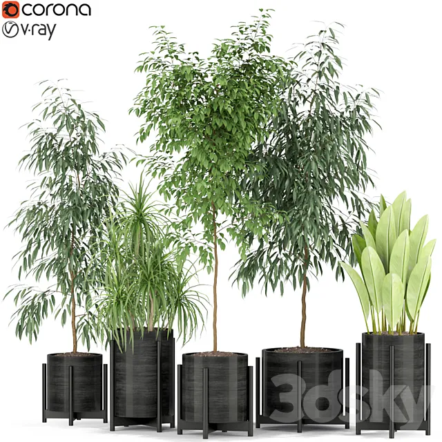 Plants collection 345 3D Model