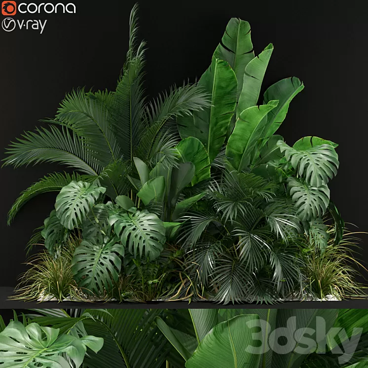 Plants collection 357 3D Model
