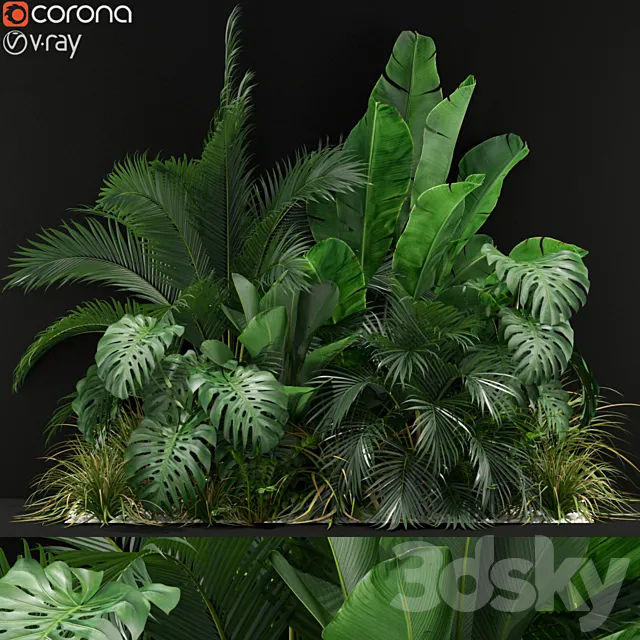 Plants collection 357 3DModel
