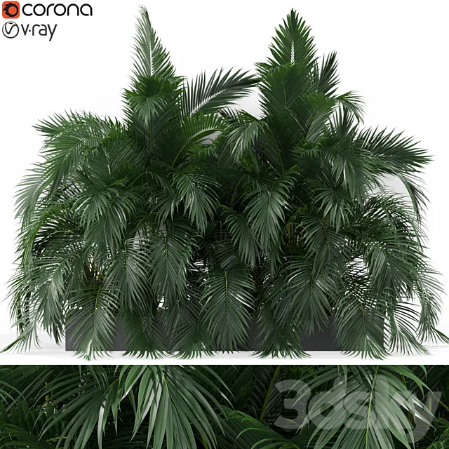 Plants collection 358 3D Model