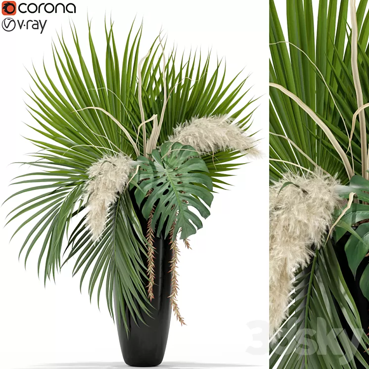 Plants collection 368 3D Model