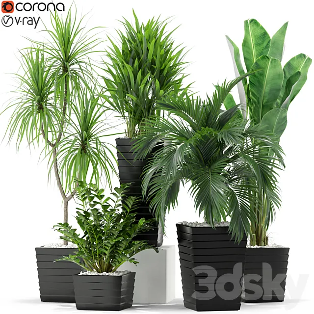 Plants collection 371 3DModel