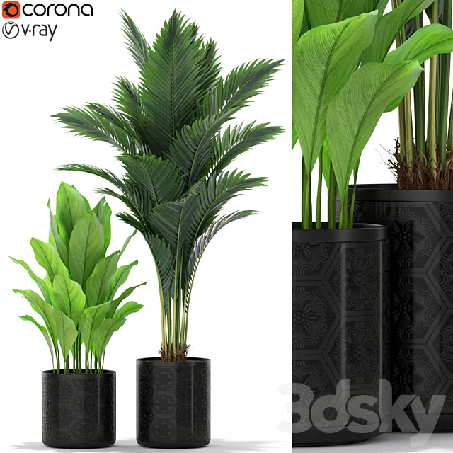 Plants collection 380 3DModel