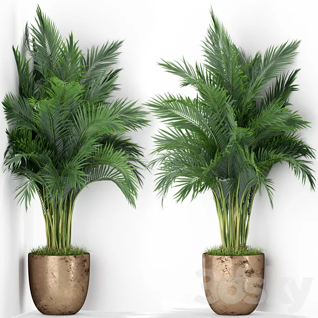 Plants collection 386 3DModel