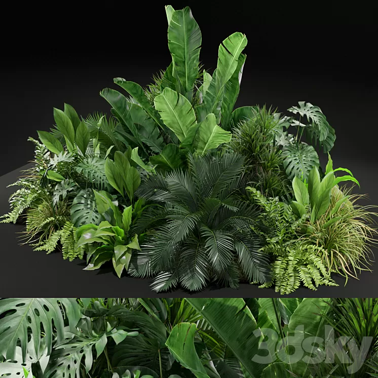 Plants collection 445 3D Model