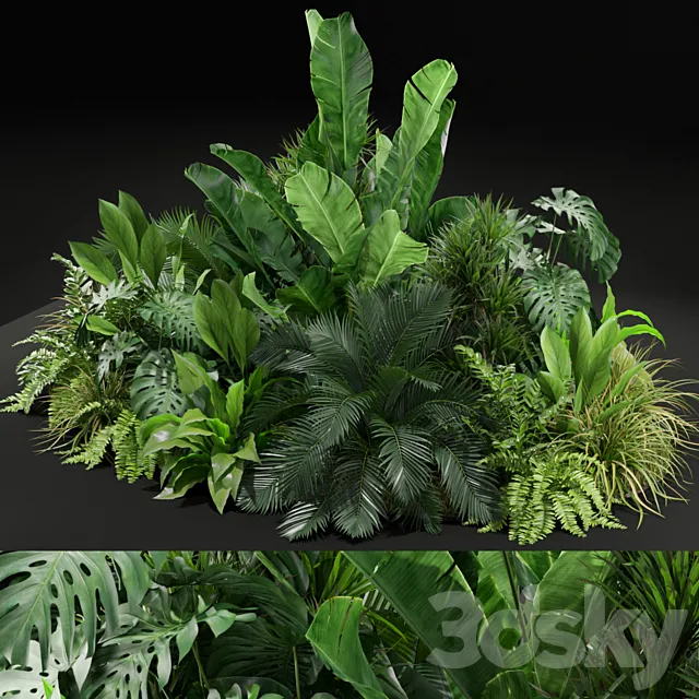 Plants collection 445 3DModel