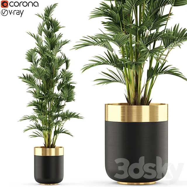 Plants collection 471 3D Model