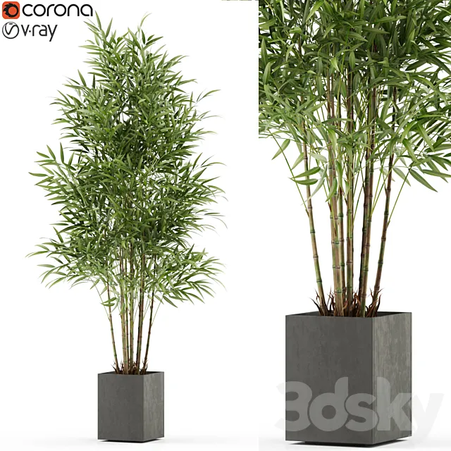 Plants collection 479 3D Model