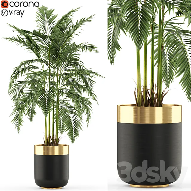 Plants collection 483 3D Model