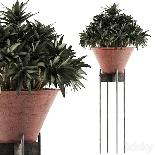 Plants Collection 49 3D Model