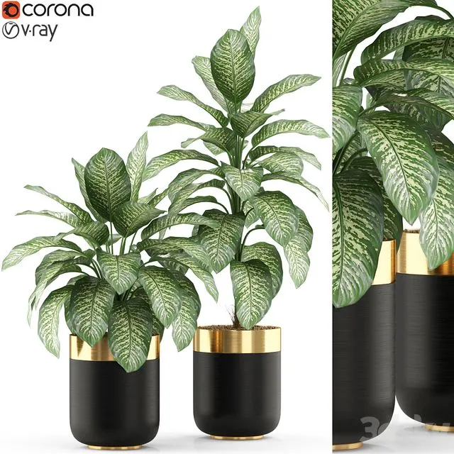 Plants collection 491 3D Model