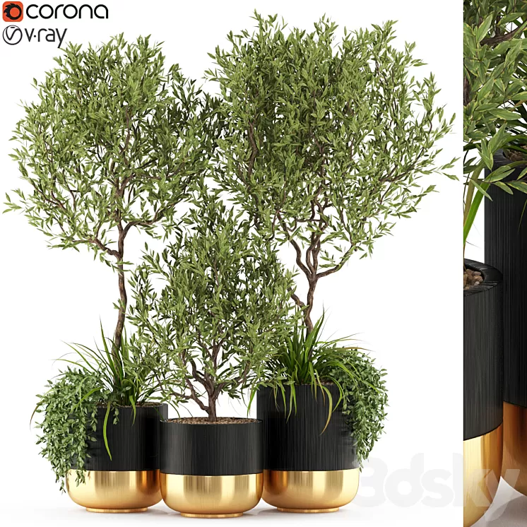 Plants collection 494 3D Model