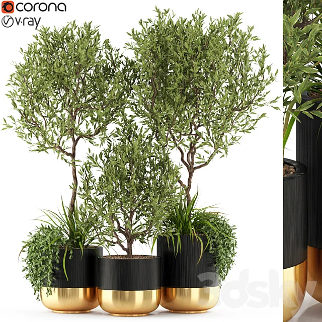 Plants collection 494 3DModel