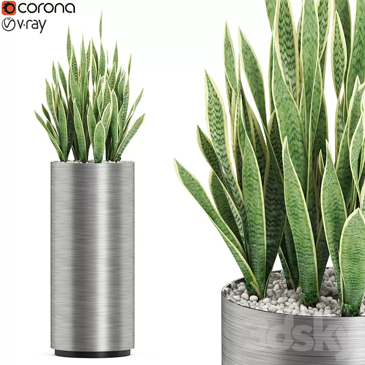 Plants collection 506 3D Model