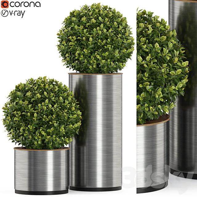 Plants collection 512 3D Model