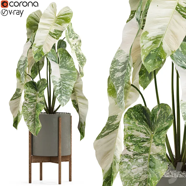 Plants collection 522 3DModel