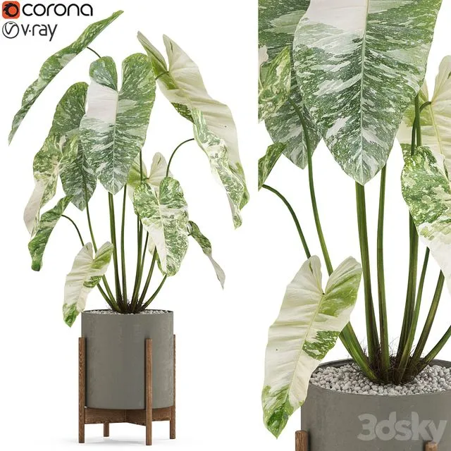 Plants collection 524 3D Model