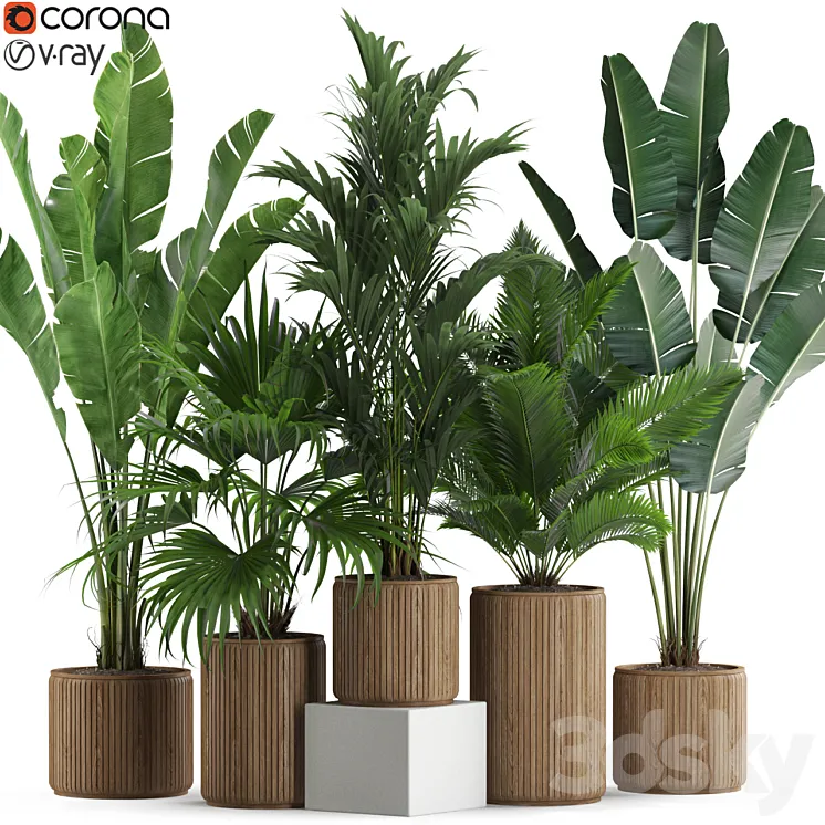 Plants collection 539 3D Model Free