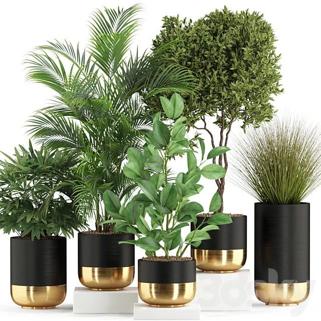 Plants collection 540 3D Model