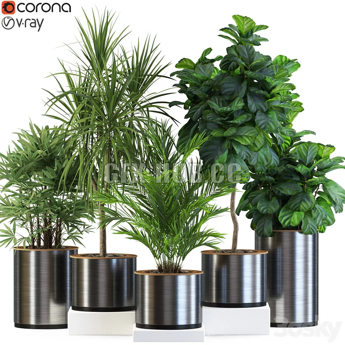 Plants collection 550 3D Model