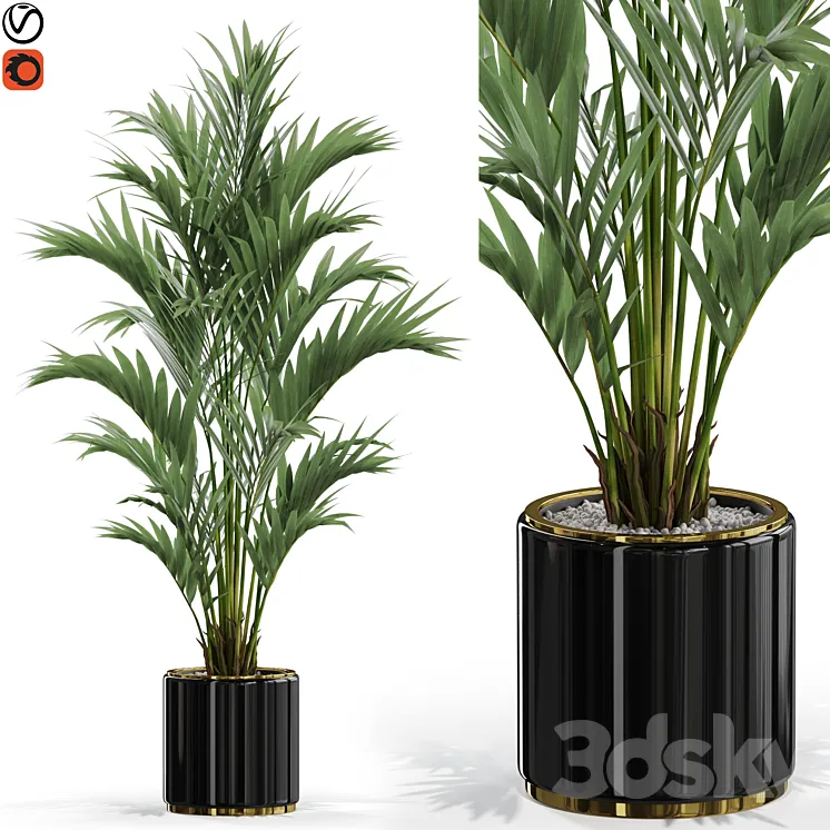Plants collection 560 3D Model Free