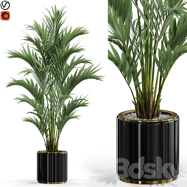Plants collection 560 3DModel