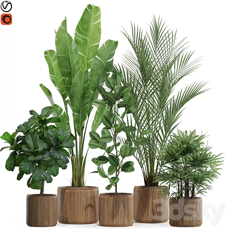 Plants collection 563 3D Model Free