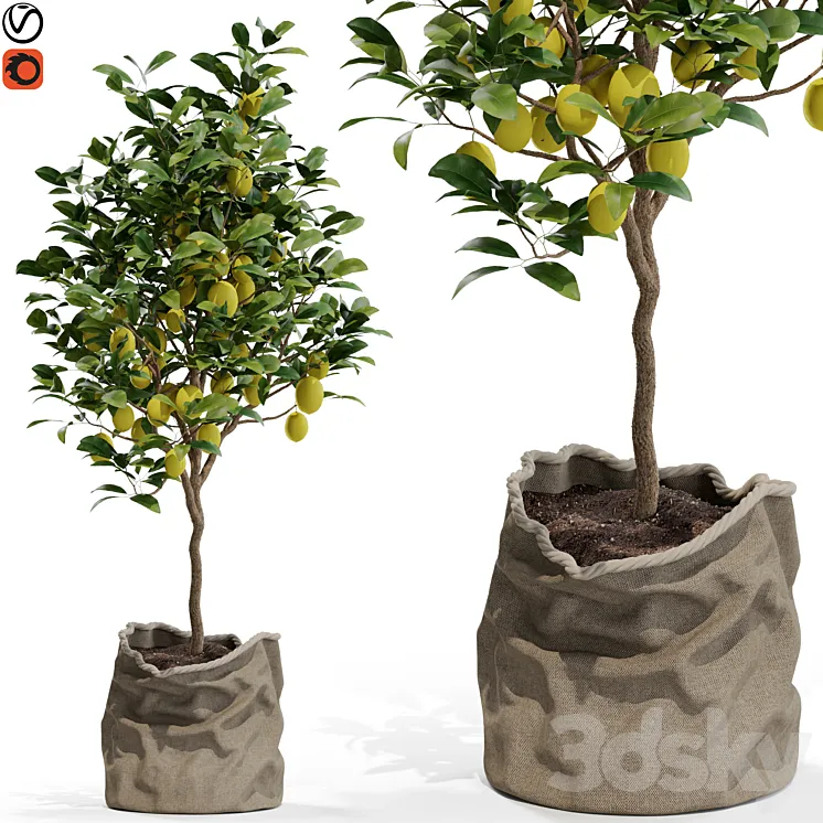 Plants collection 564 3D Model Free