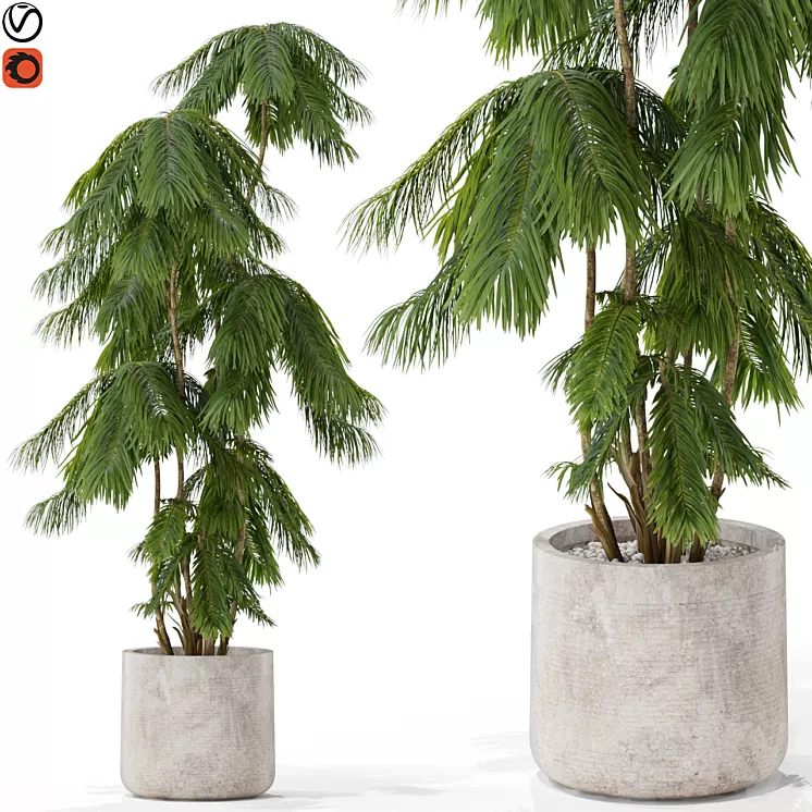 Plants collection 573 3D Model Free