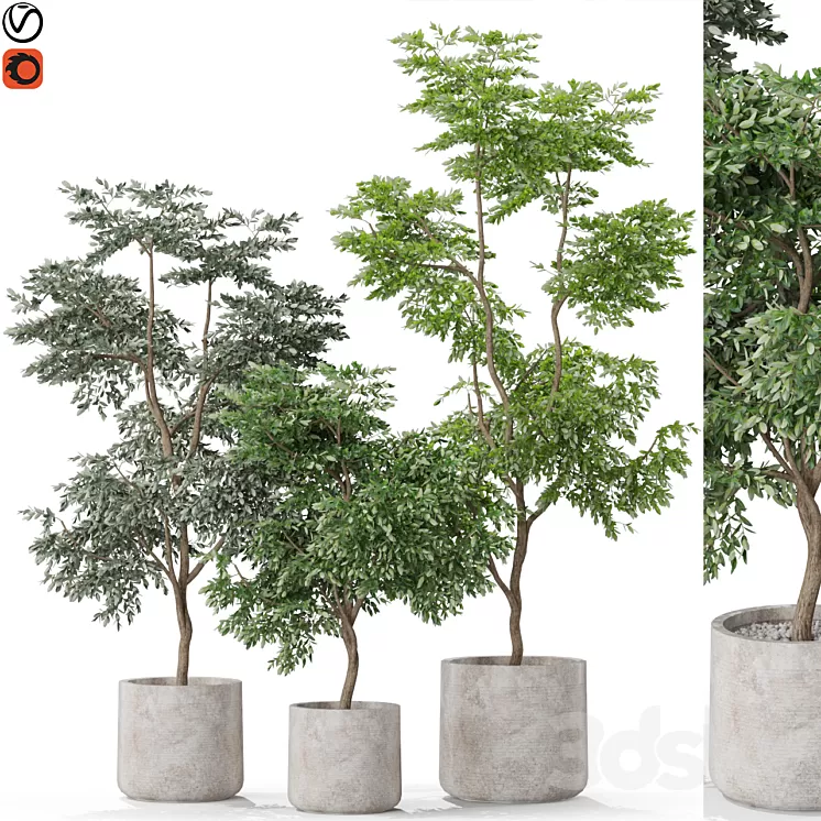 Plants collection 576 3D Model Free