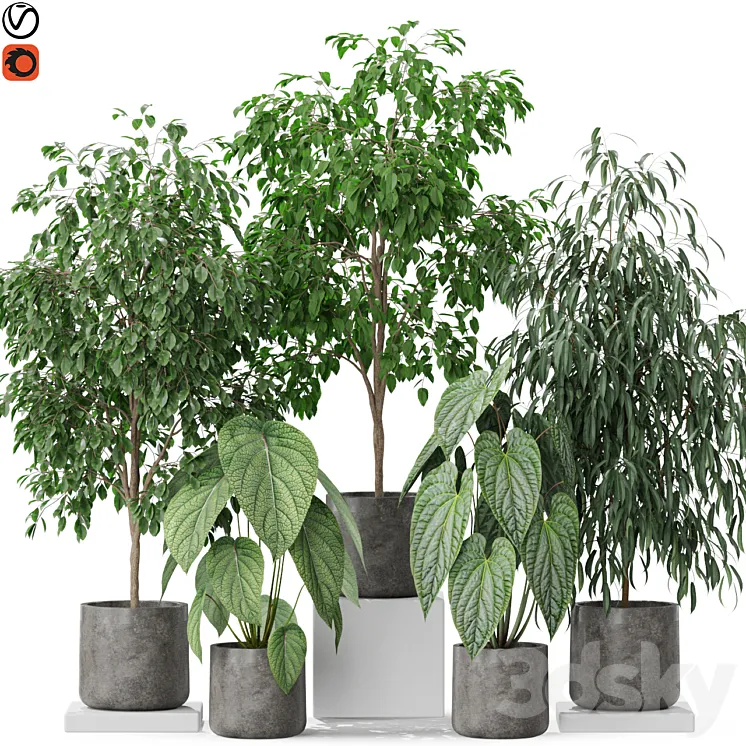 Plants collection 578 3D Model Free