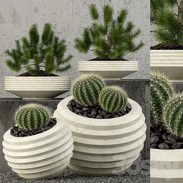 Plants collection 58 3D Model