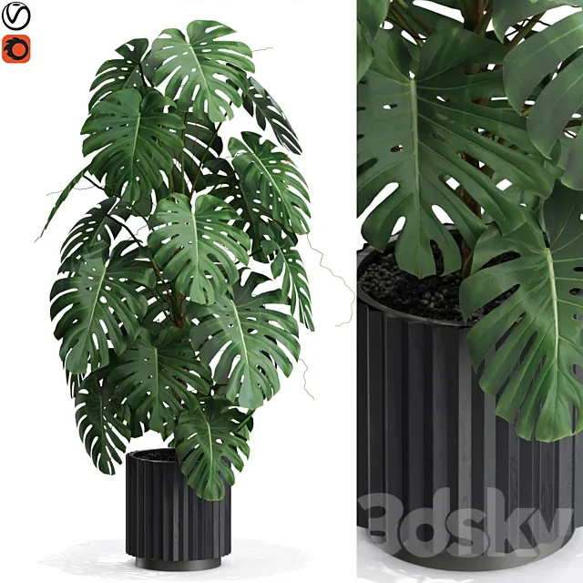 Plants collection 583 3D Model