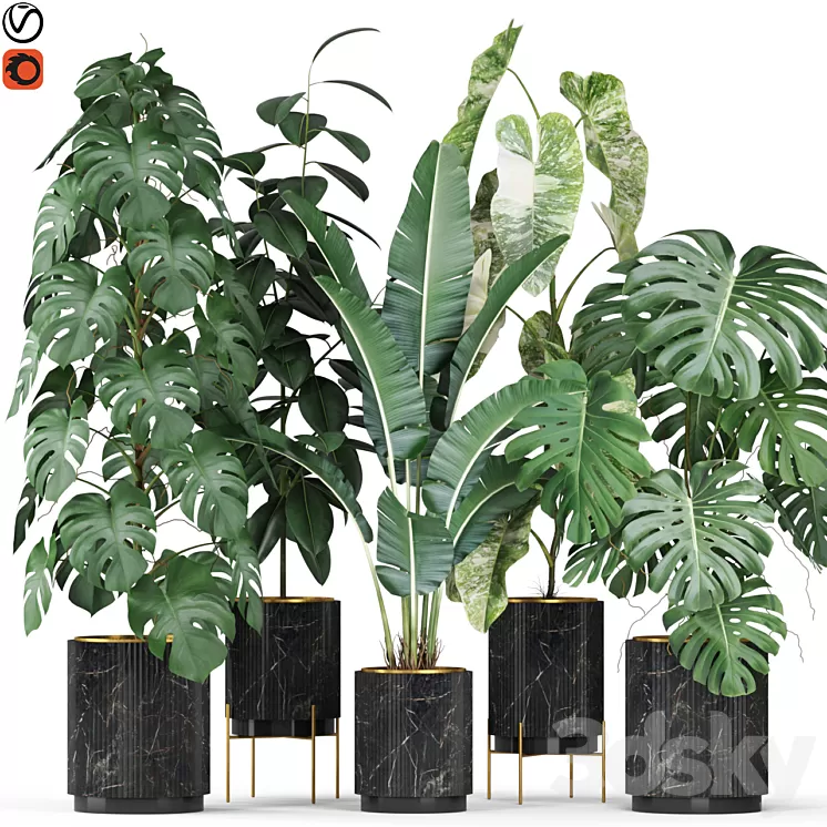 Plants collection 584 3D Model Free