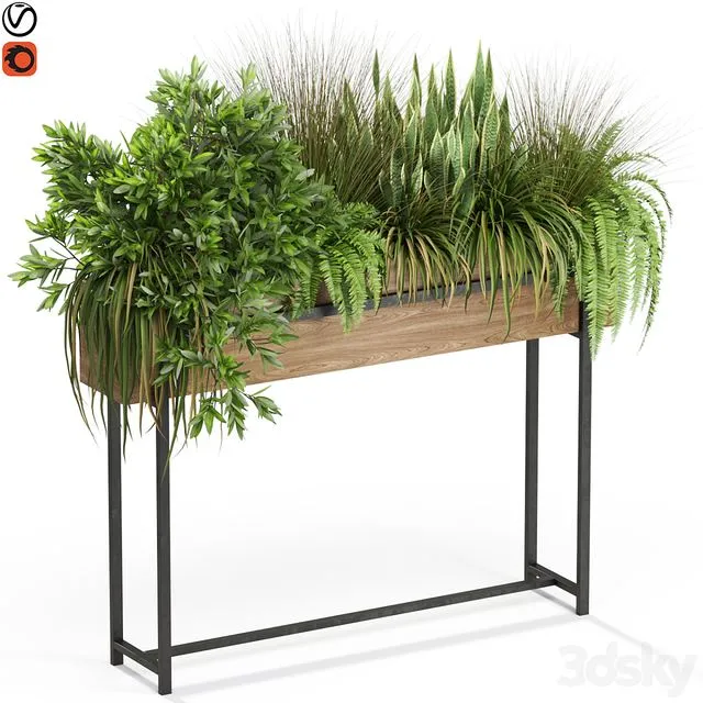 Plants collection 587 3D Model