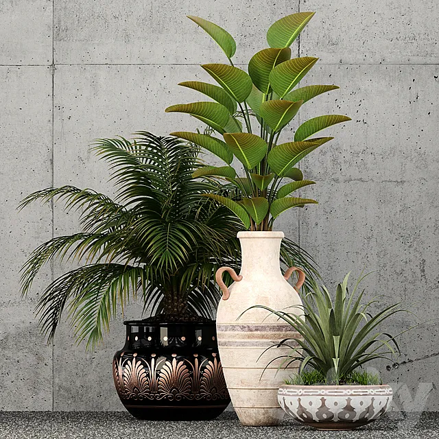 Plants collection 59 3D Model