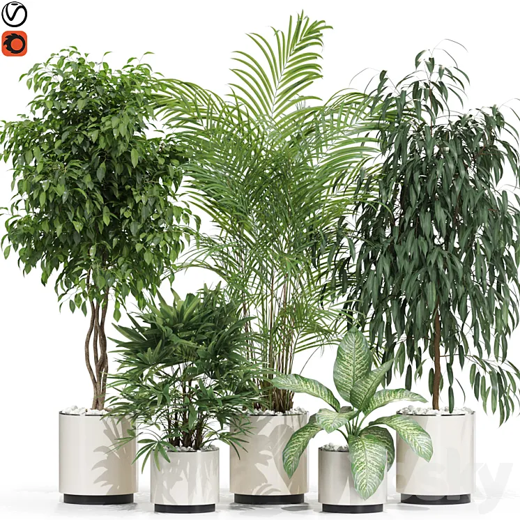 Plants collection 600 3D Model Free