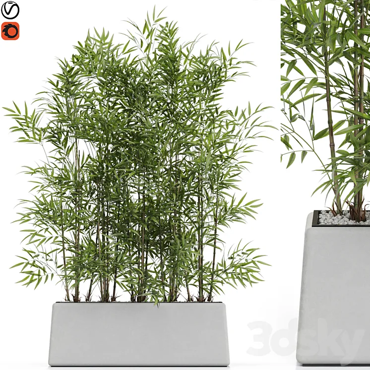 Plants collection 615 3D Model Free