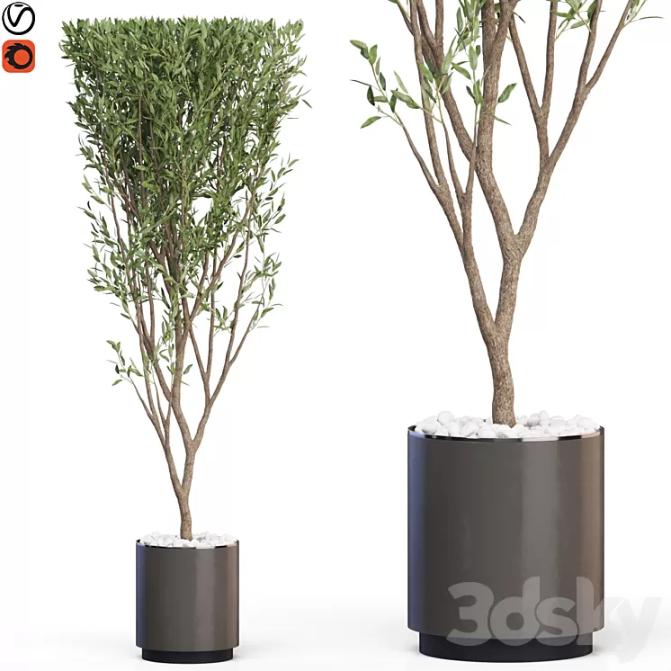 Plants collection 624 3D Model Free