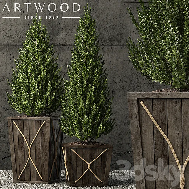 Plants collection 64 3D Model