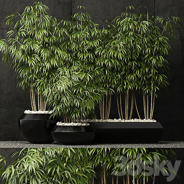 Plants collection 66 3D Model