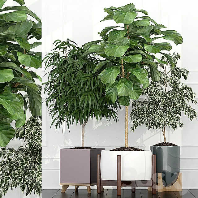 Plants collection 67 3D Model