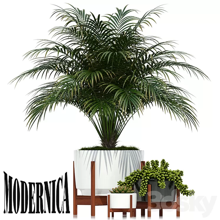 Plants collection 68 Modernica pots 3D Model
