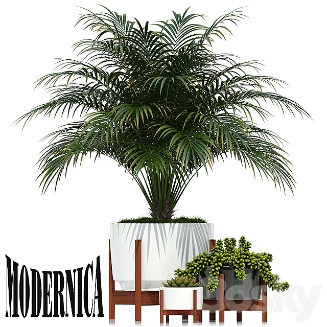Plants collection 68 Modernica pots 3DModel