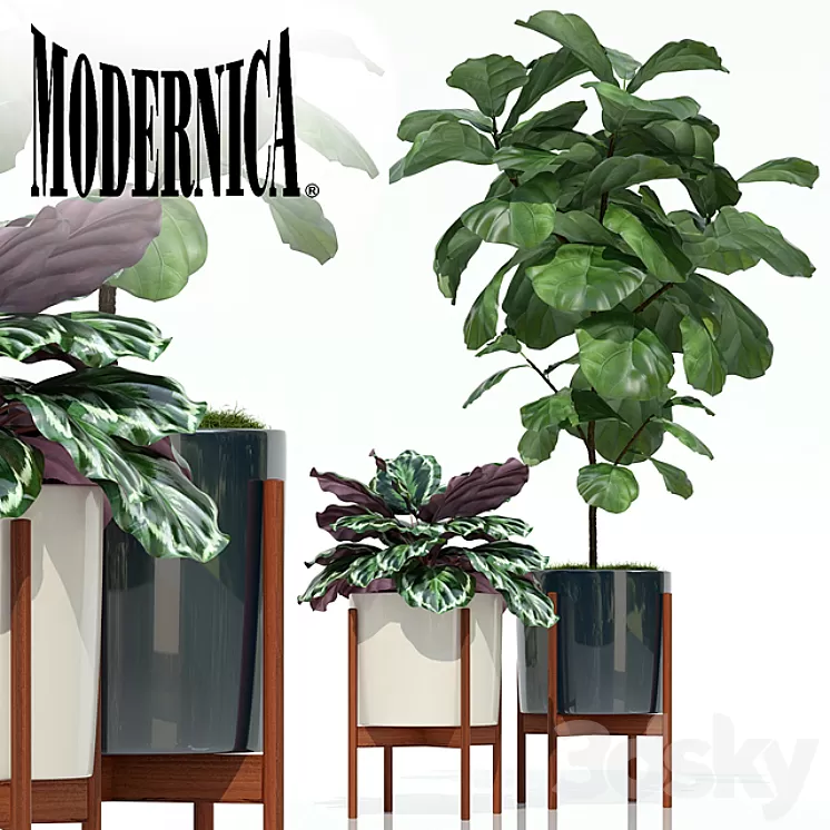 Plants collection 69 Modernica pots 3D Model
